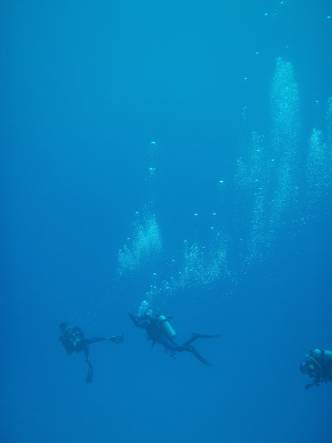 img0030.jpg