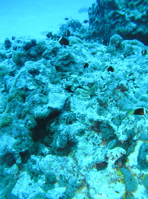 img0032.jpg