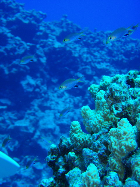 img0033.jpg