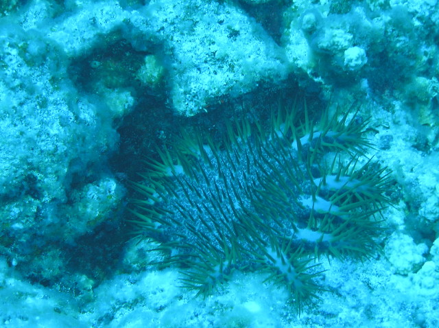 img0034.jpg
