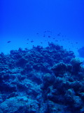 img0000.jpg