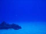 img0001.jpg
