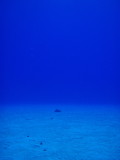 img0002.jpg