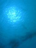 img0003.jpg