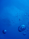 img0006.jpg