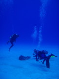 img0008.jpg