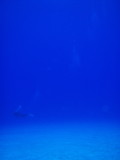 img0009.jpg
