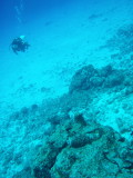 img0014.jpg