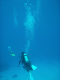 img0017.jpg