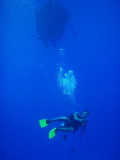 img0018.jpg