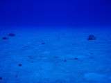 img0023.jpg