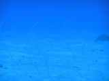 img0024.jpg
