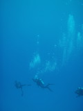 img0030.jpg