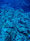 img0031.jpg
