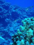img0033.jpg
