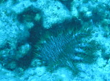 img0034.jpg