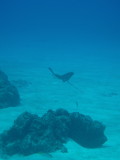 img0038.jpg