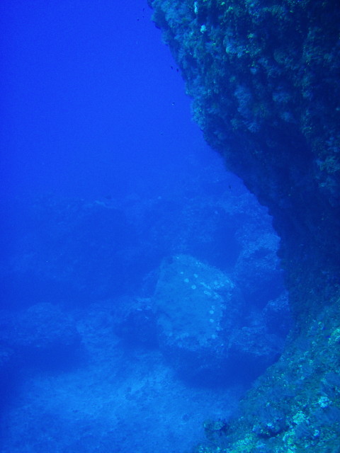 img0000.jpg