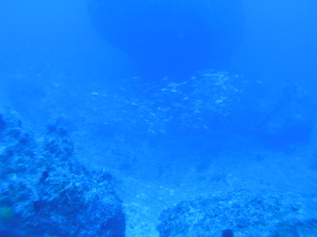 img0001.jpg