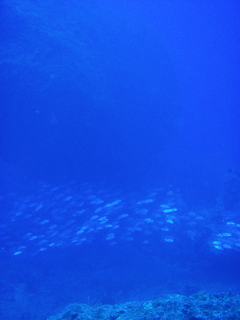 img0002.jpg