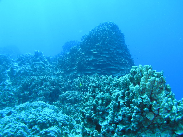 img0007.jpg