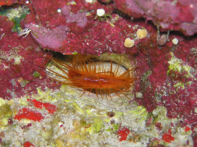 img0010.jpg