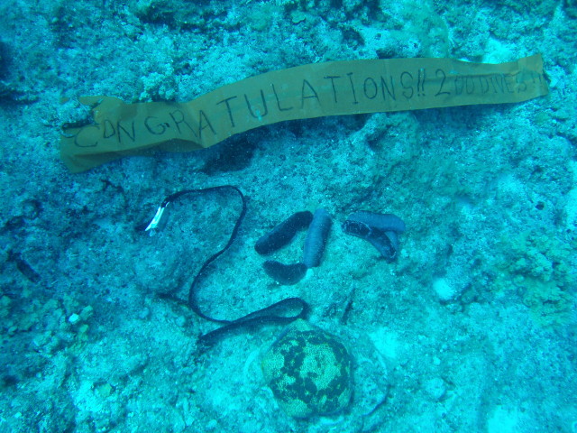 img0013.jpg