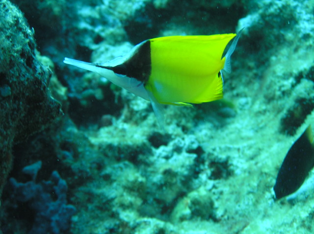 img0015.jpg