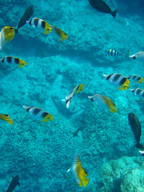 img0016.jpg