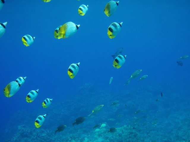 img0017.jpg