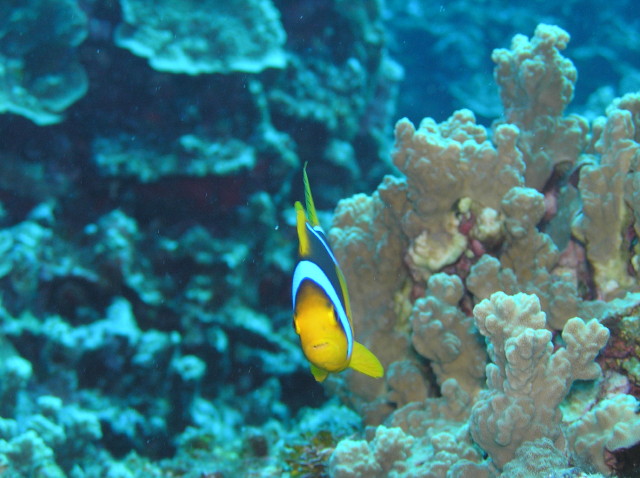 img0024.jpg