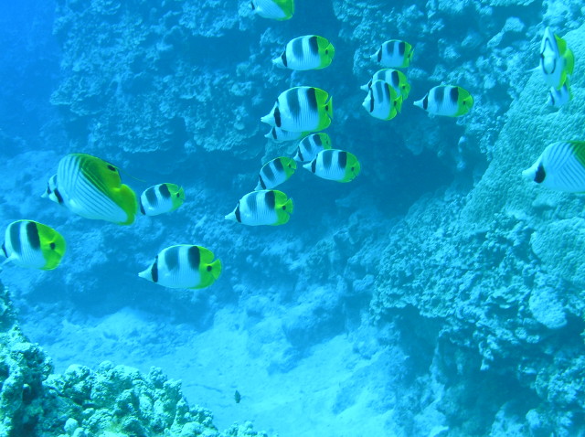 img0027.jpg