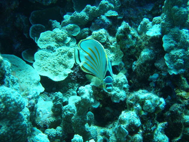 img0028.jpg