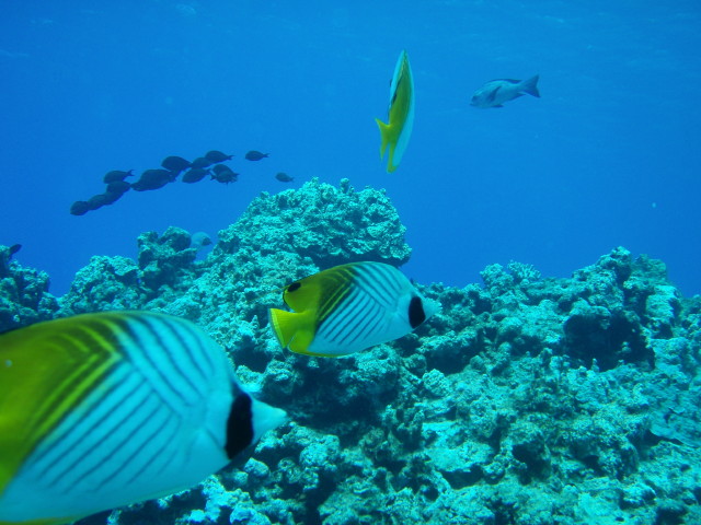 img0029.jpg