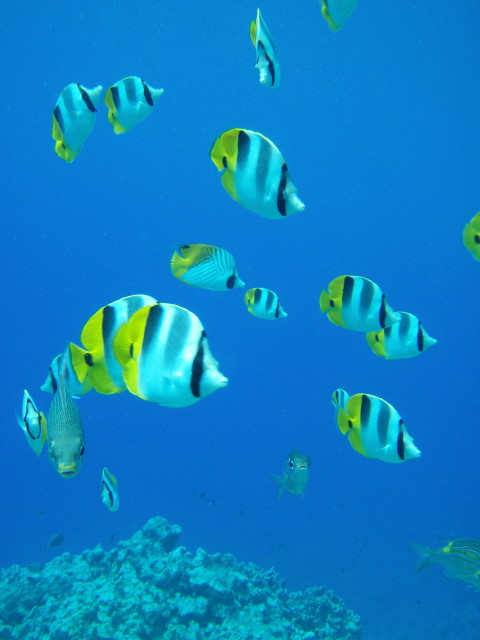 img0031.jpg