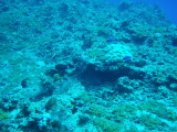 img0006.jpg