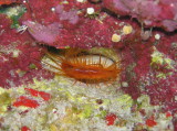 img0010.jpg