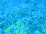 img0012.jpg