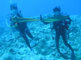 img0014.jpg