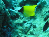 img0015.jpg