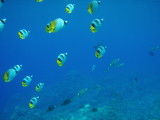 img0017.jpg