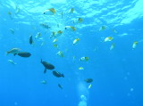 img0018.jpg