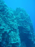 img0019.jpg