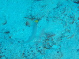 img0022.jpg