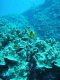 img0023.jpg