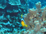 img0024.jpg