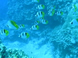 img0027.jpg
