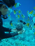img0030.jpg