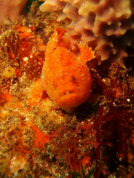 P6130035.JPG