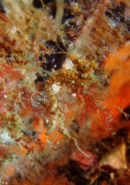 P6130060_.jpg